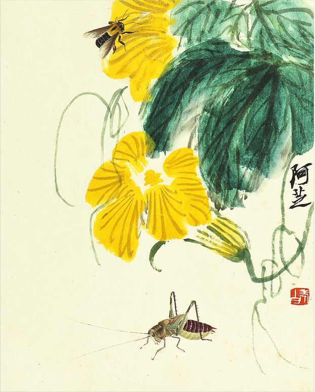喇叭花预览图