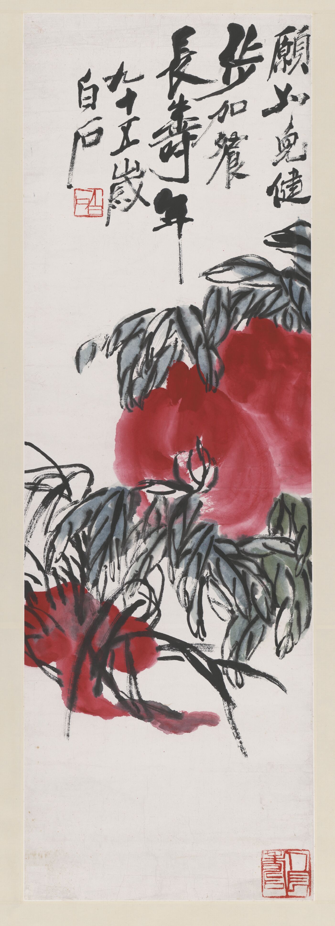 桃子灵芝缩略图
