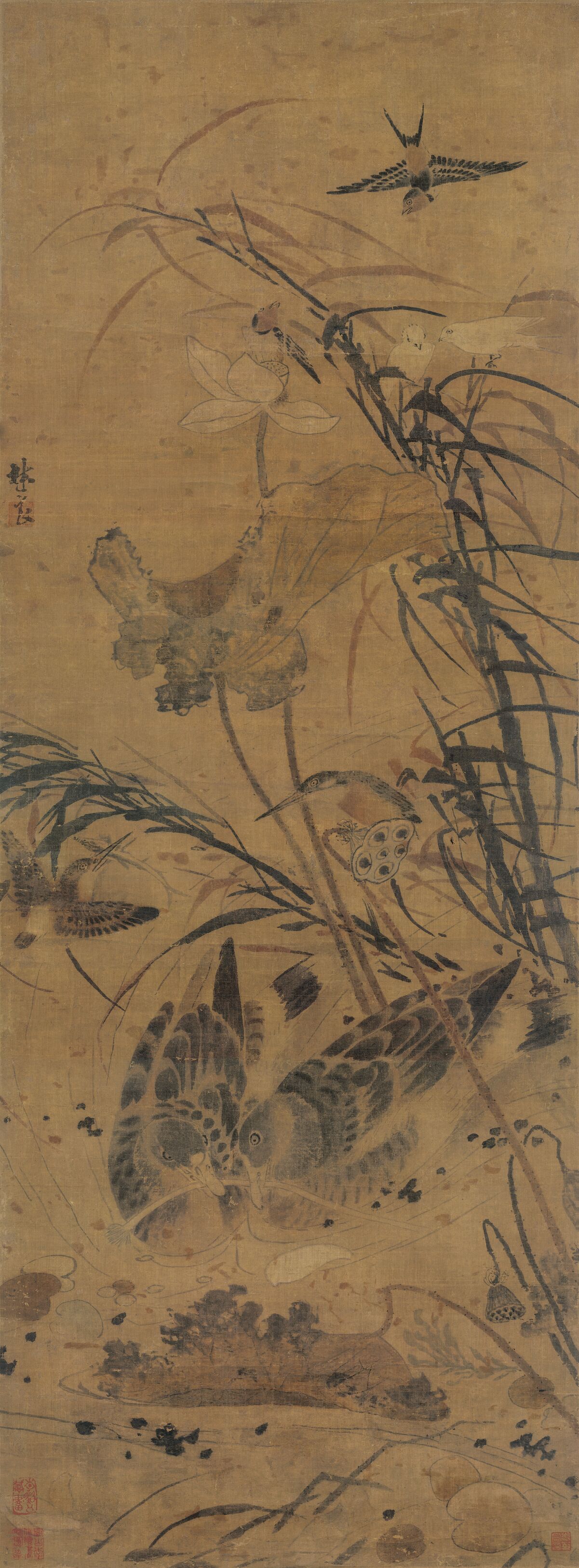 荷塘聚禽图预览图