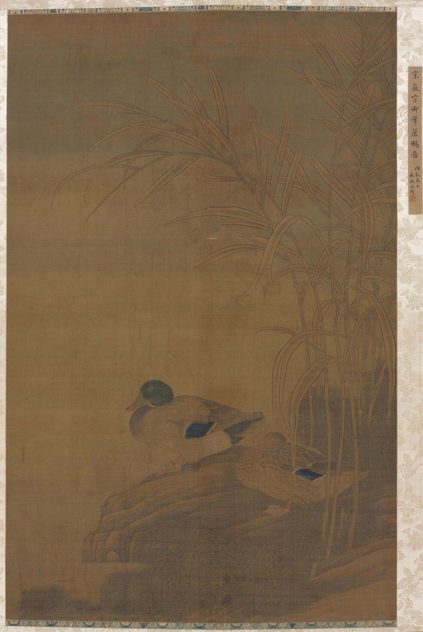 芦鸭图预览图