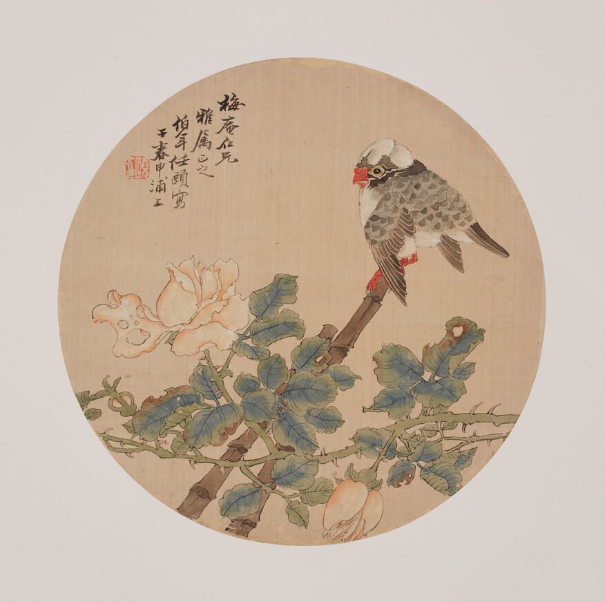 花鸟图页预览图