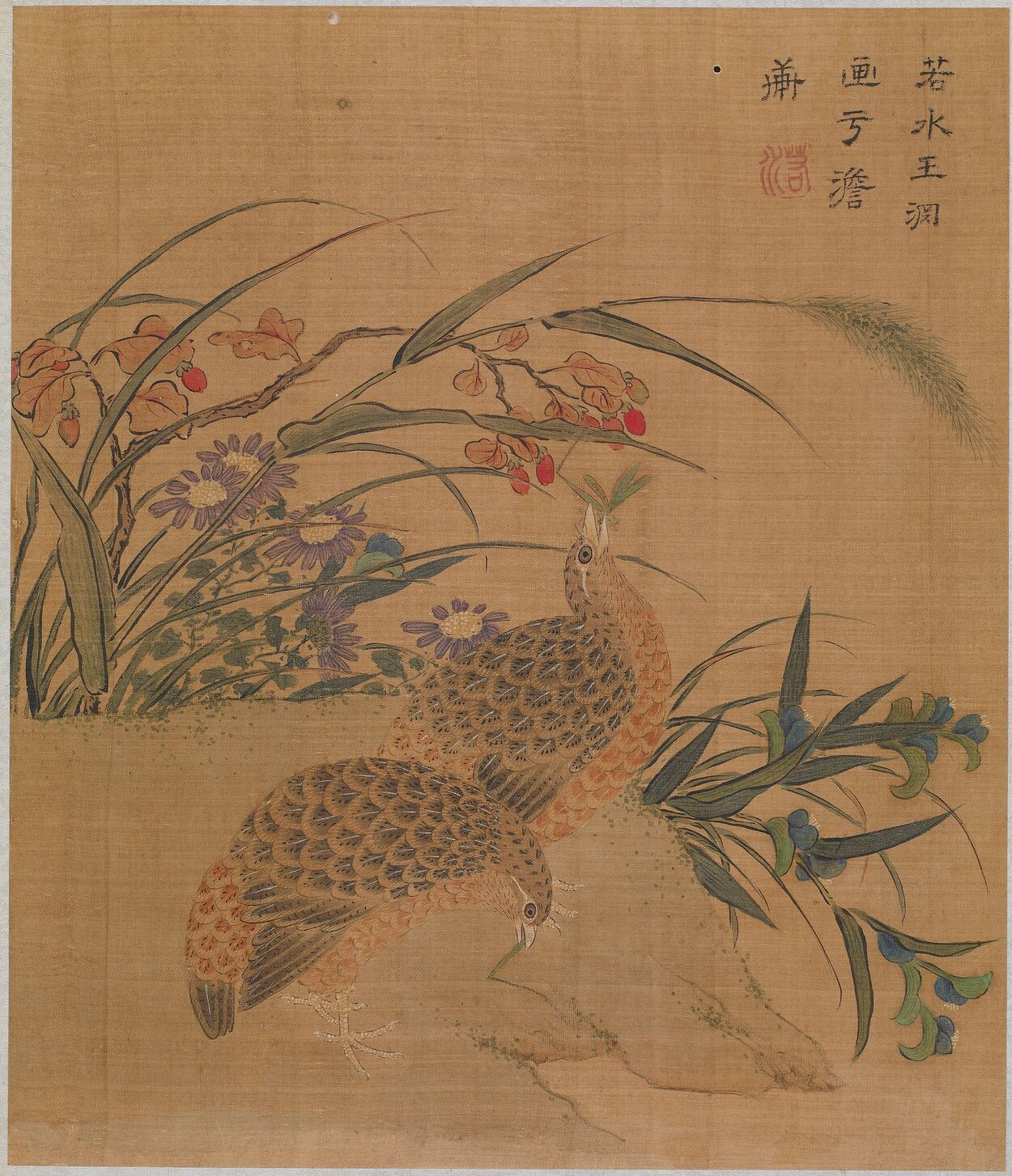 鹌鹑花卉图页预览图