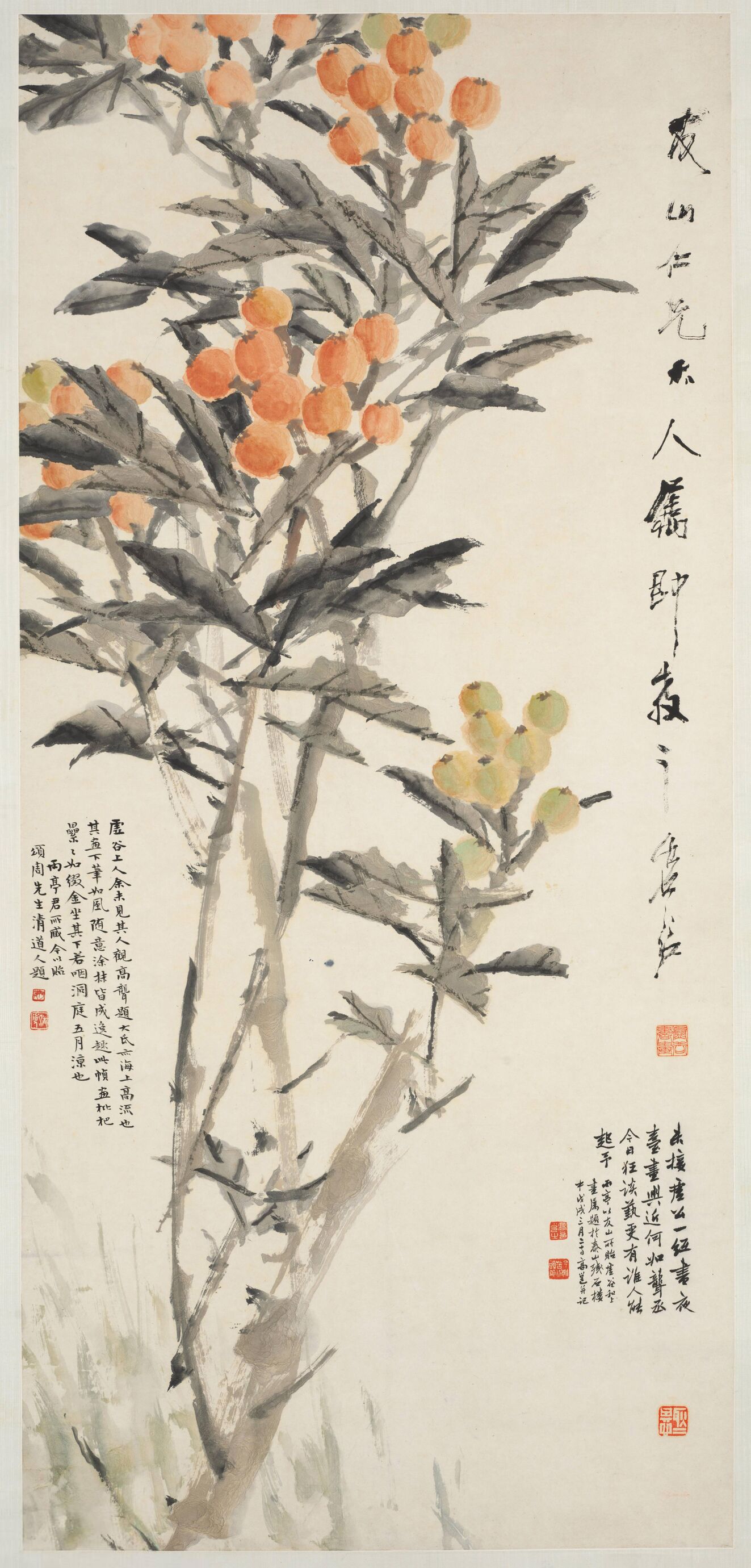 枇杷图预览图