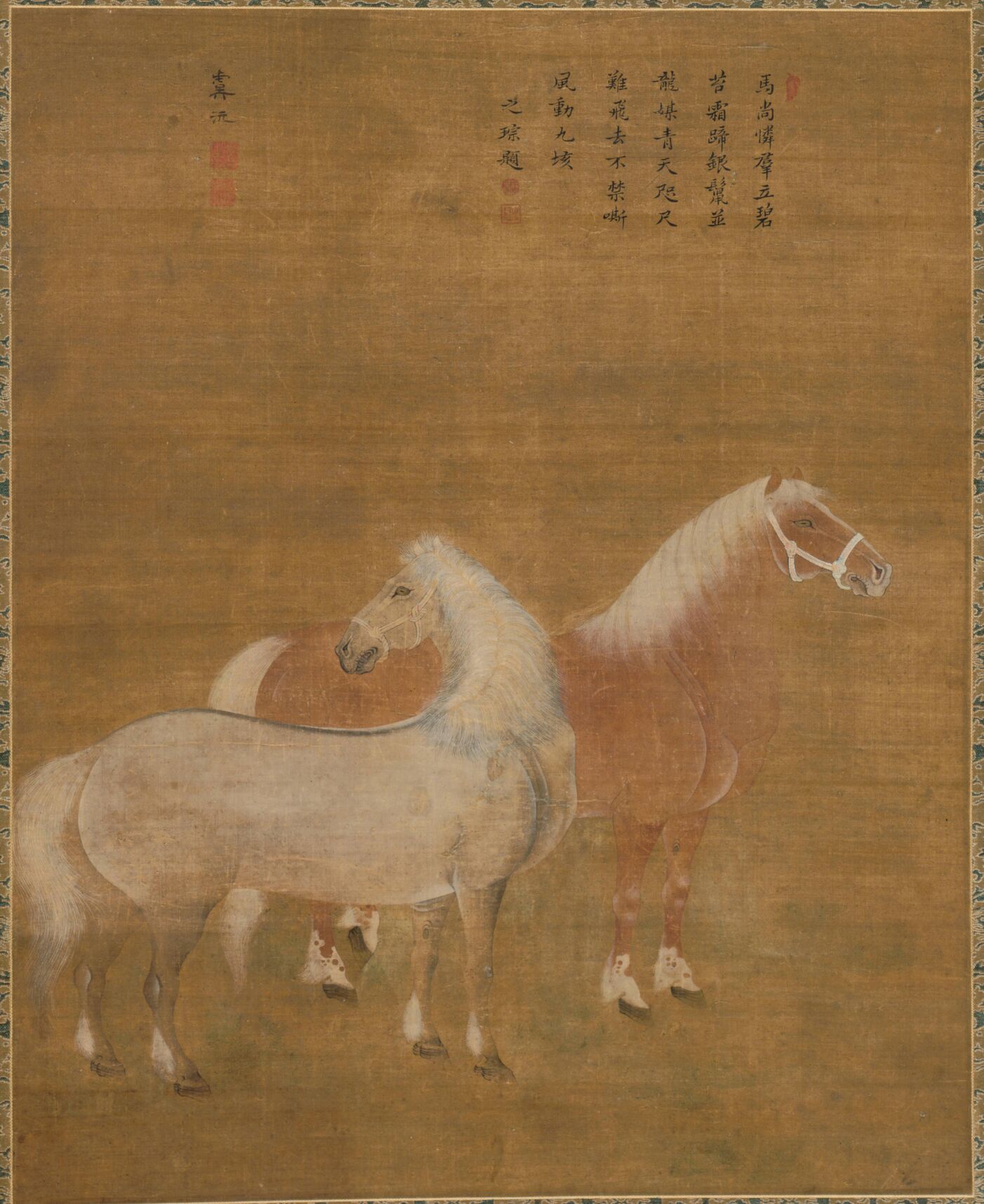 双马图预览图