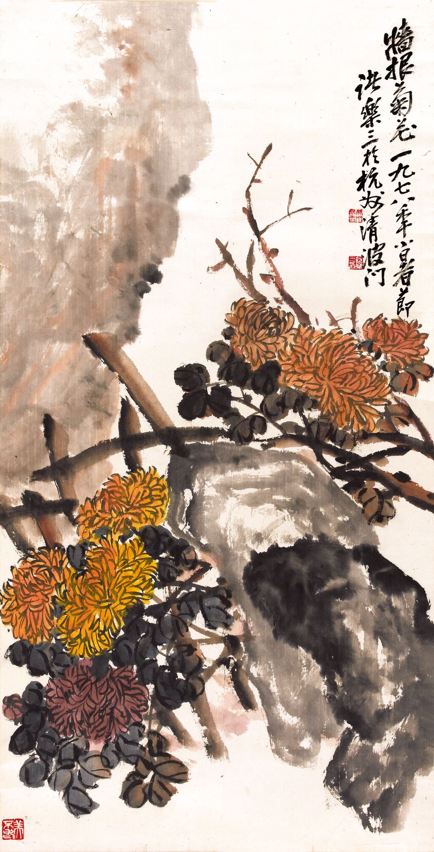 墙根菊花图预览图