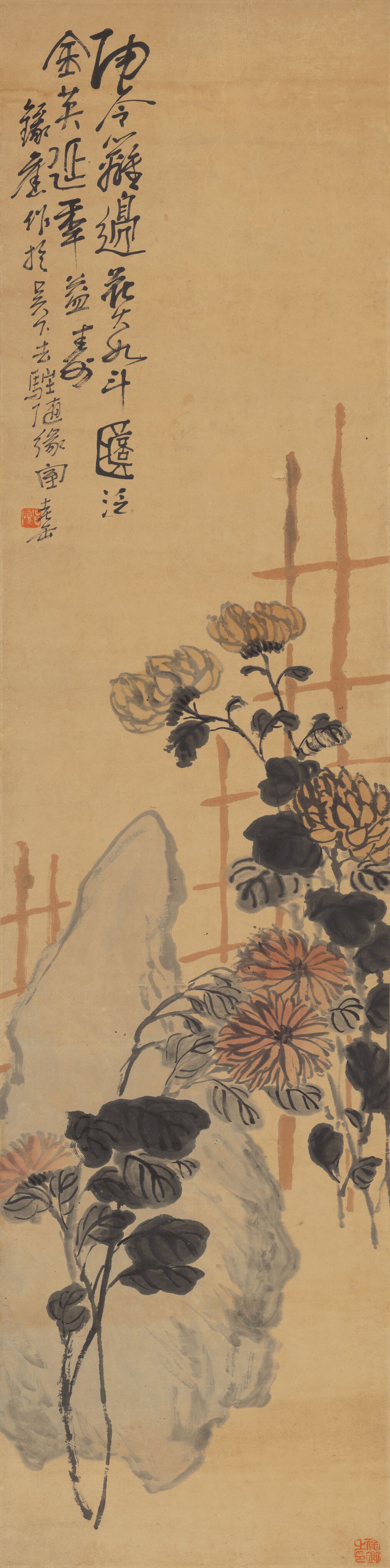 菊石图预览图