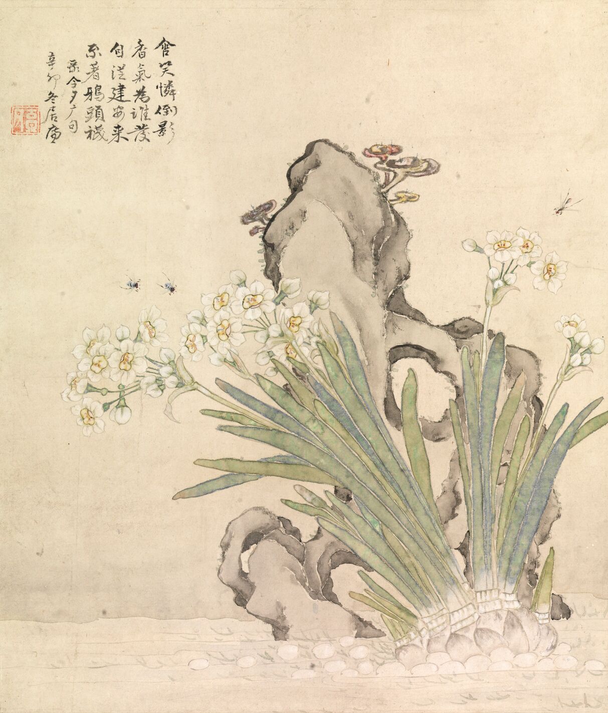 水仙山石图页预览图