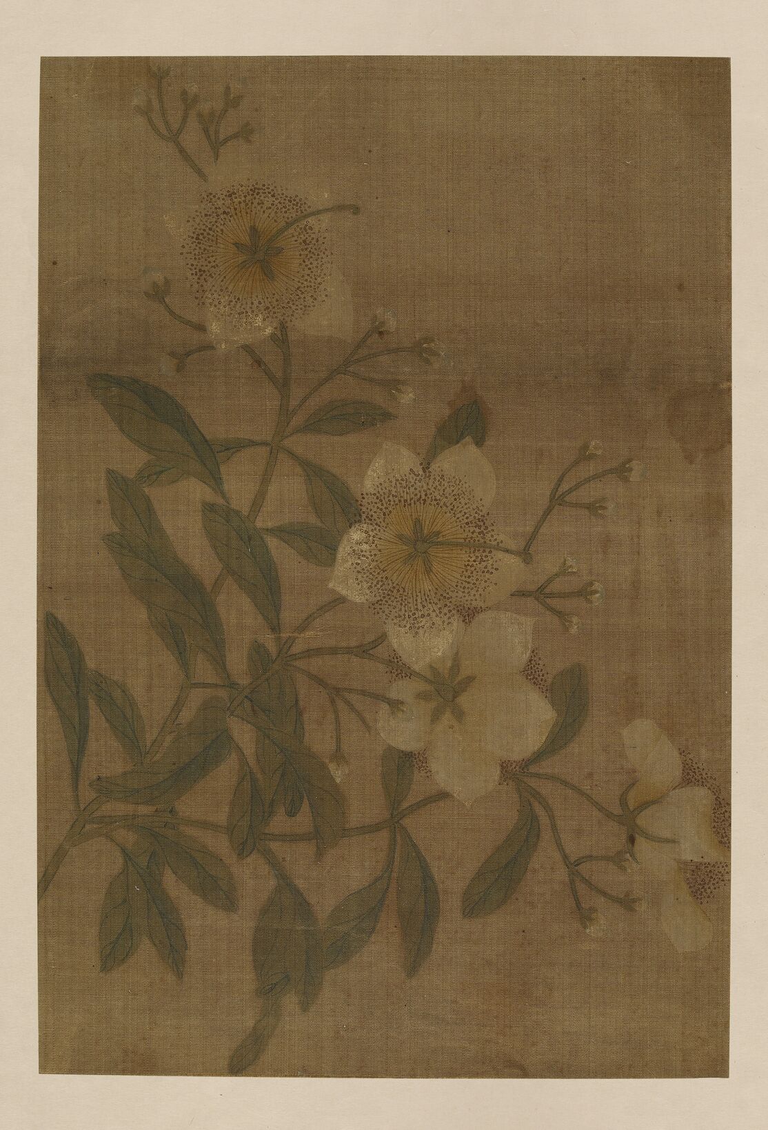 花卉图页预览图