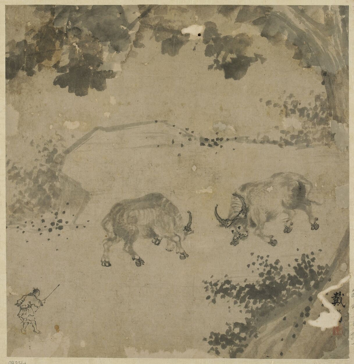 斗牛图预览图