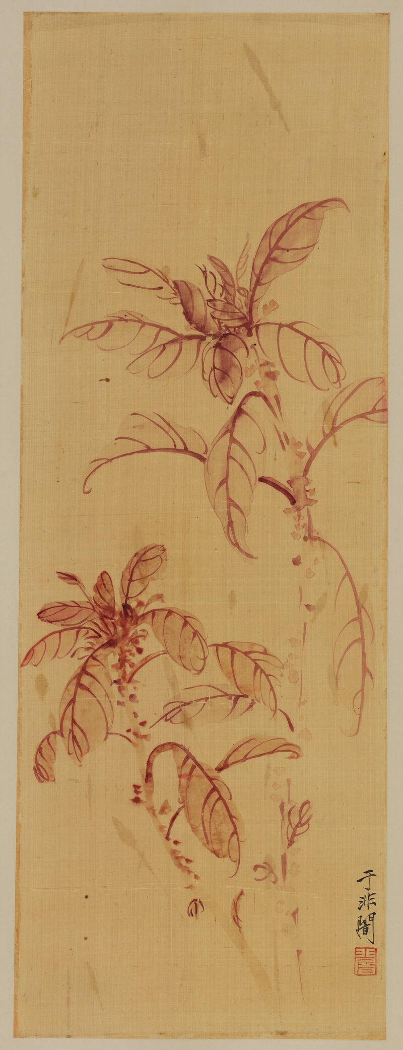 花卉图预览图