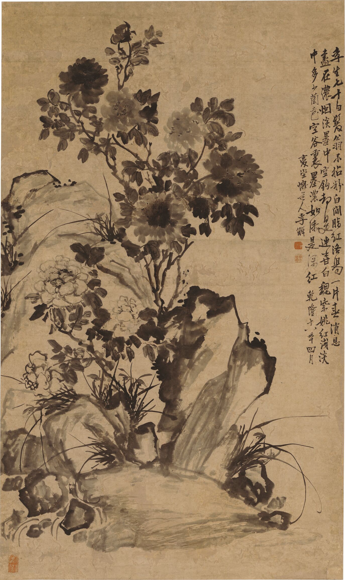 魏紫姚黄图立轴预览图