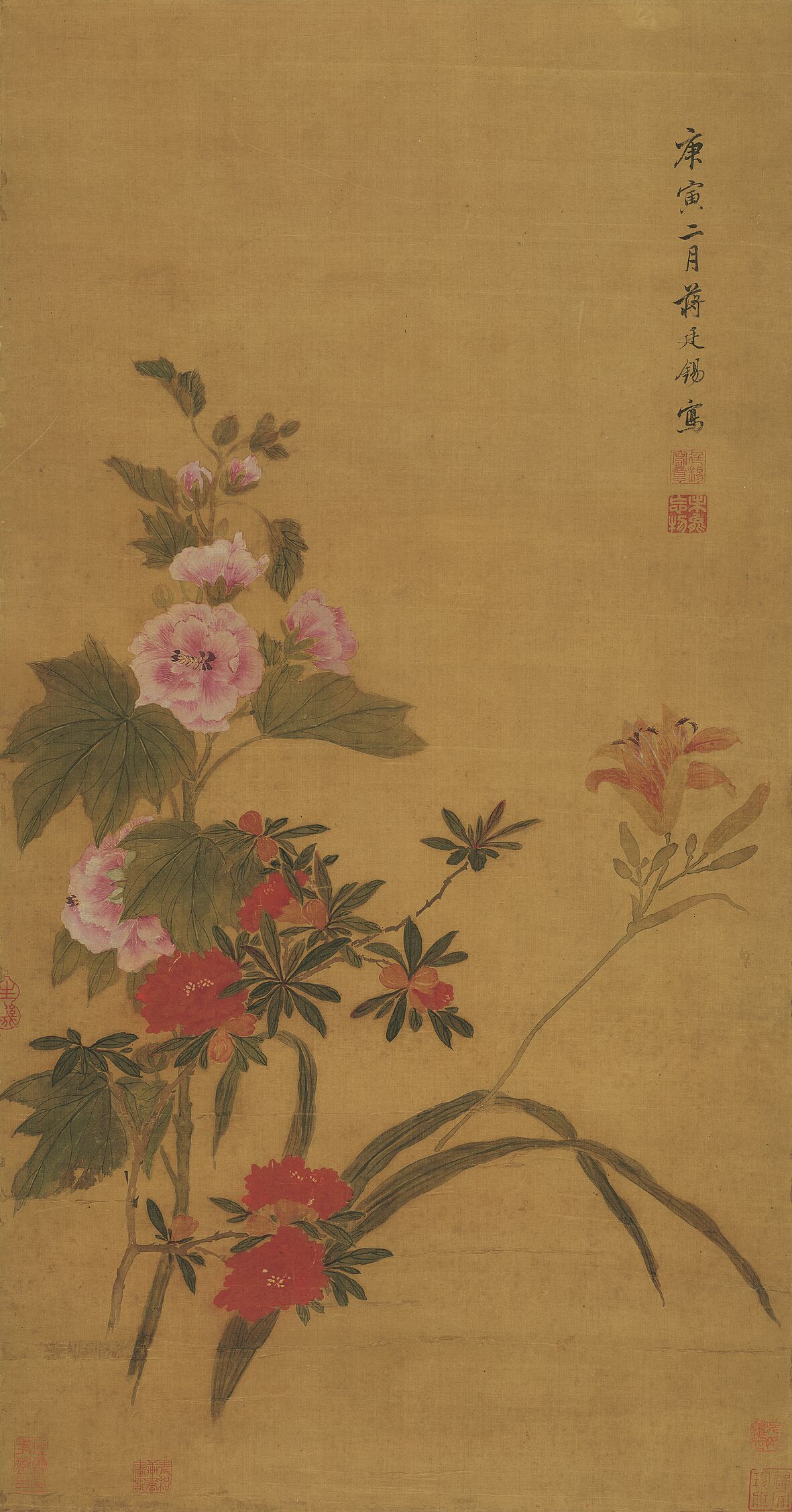 蜀葵宣花图预览图