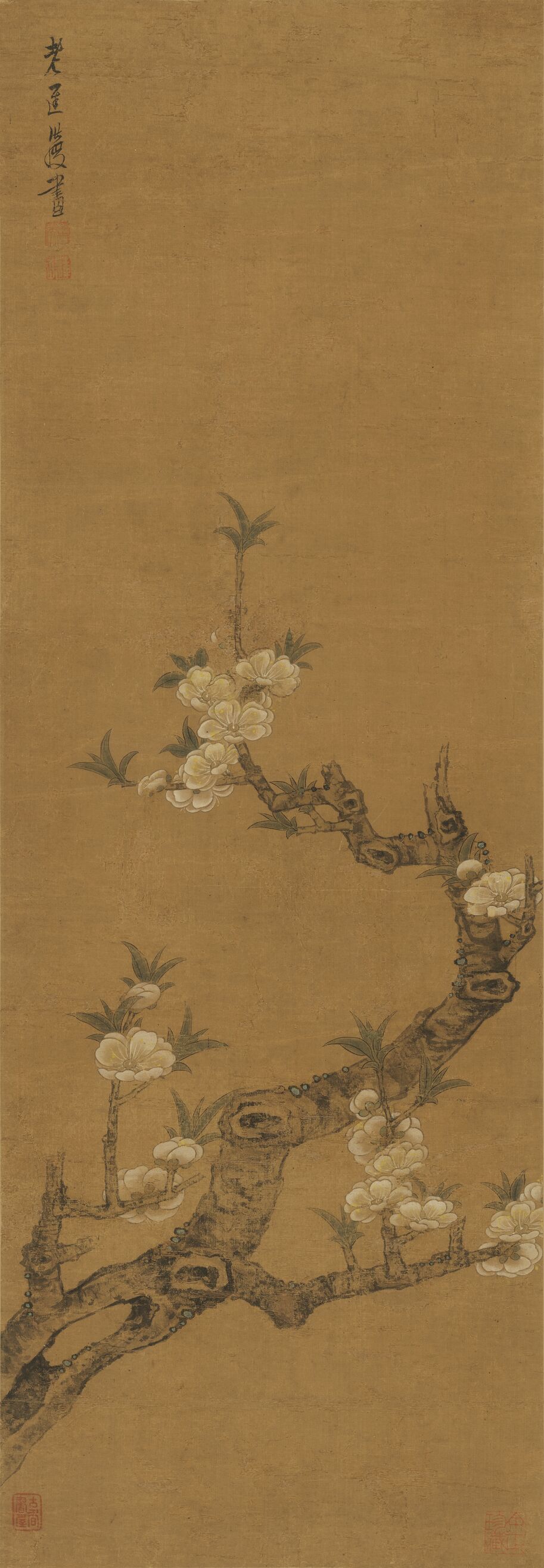 梨花图预览图