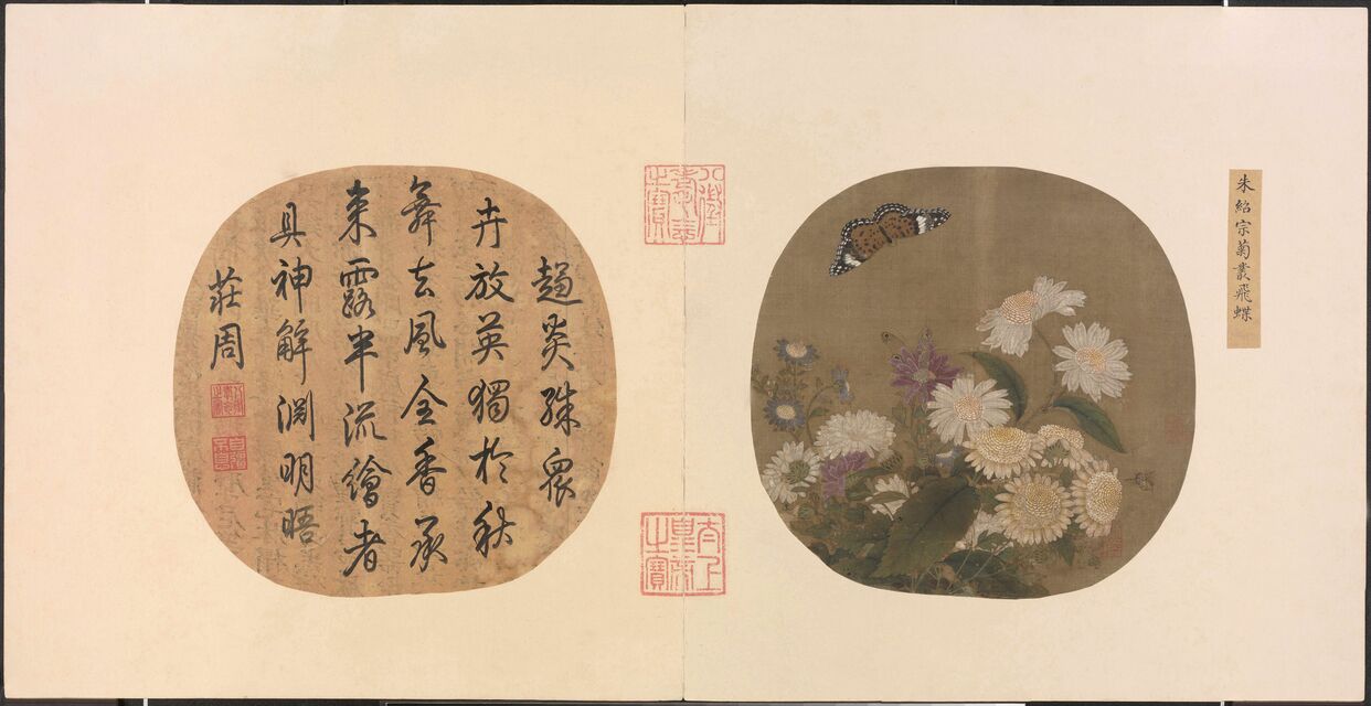 菊丛飞蝶图预览图