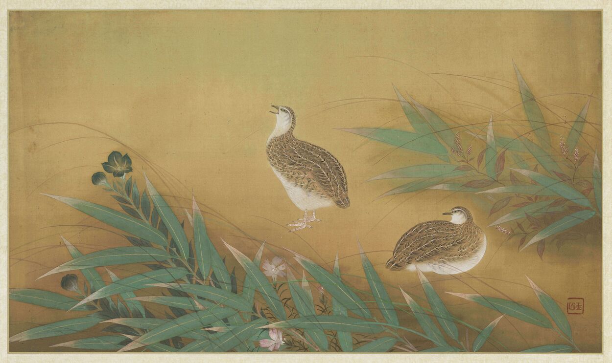 花鸟册缩略图