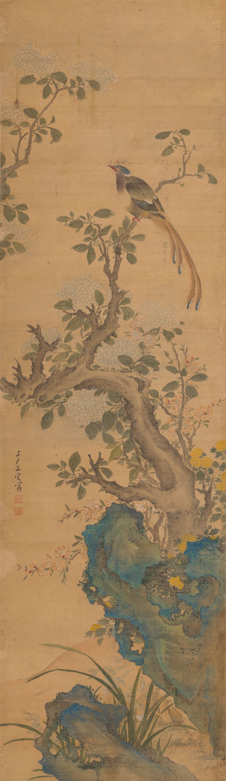 绣球春鸟图预览图