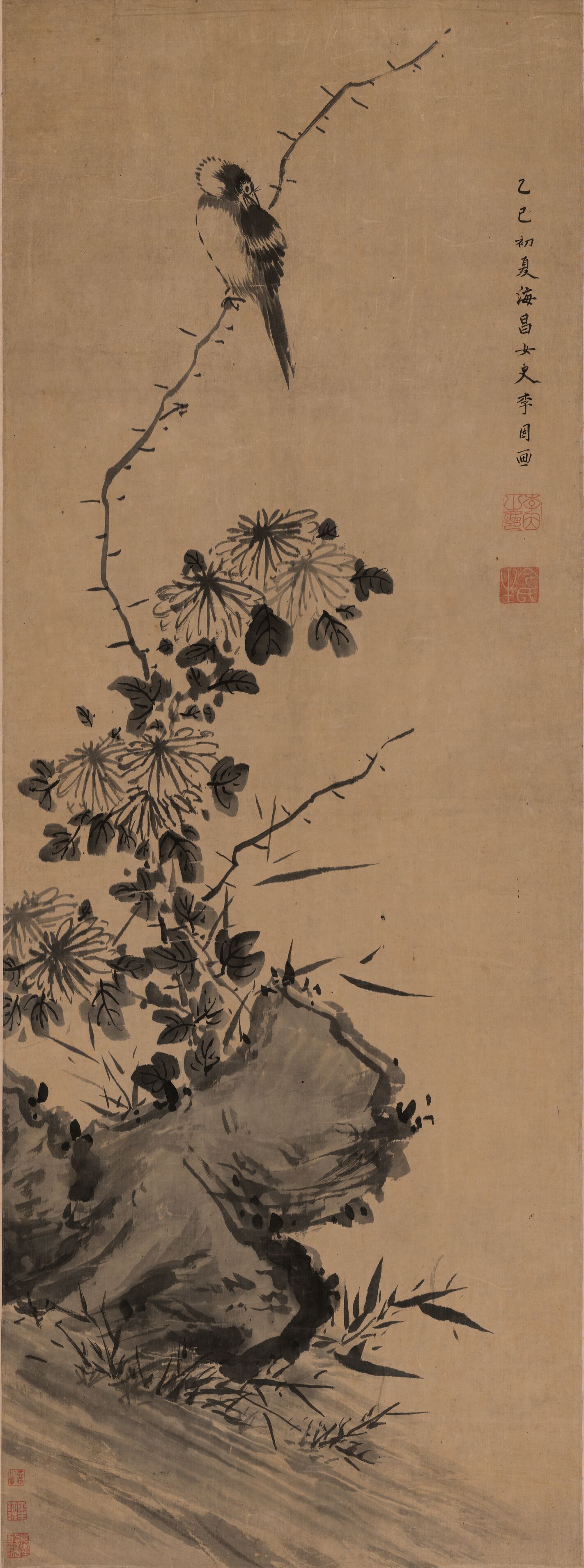 菊石鸣禽图预览图