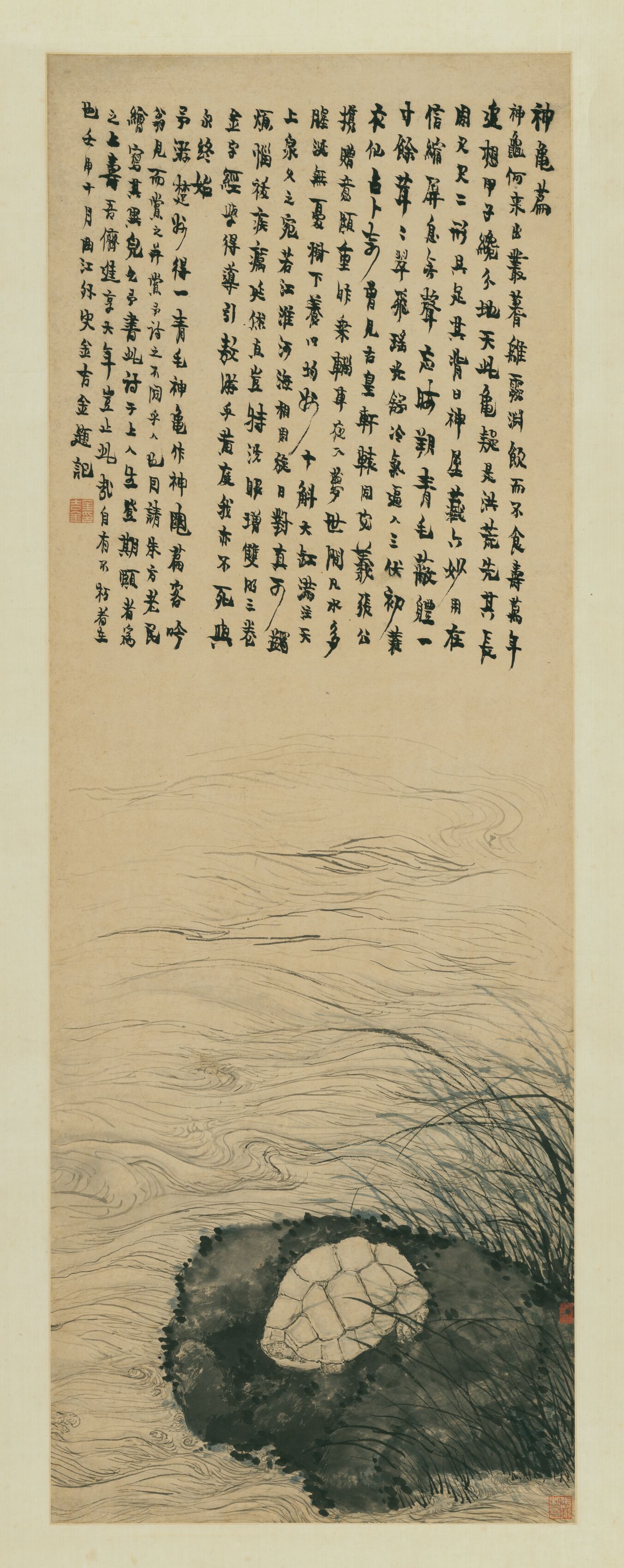 神龟图预览图