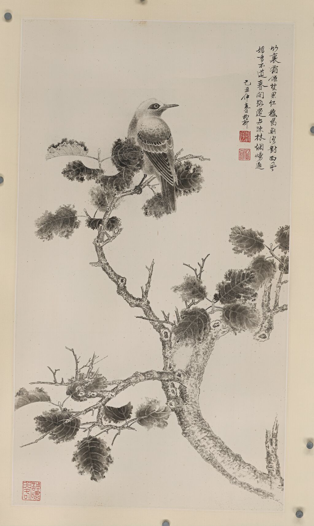 霜催野果红缩略图