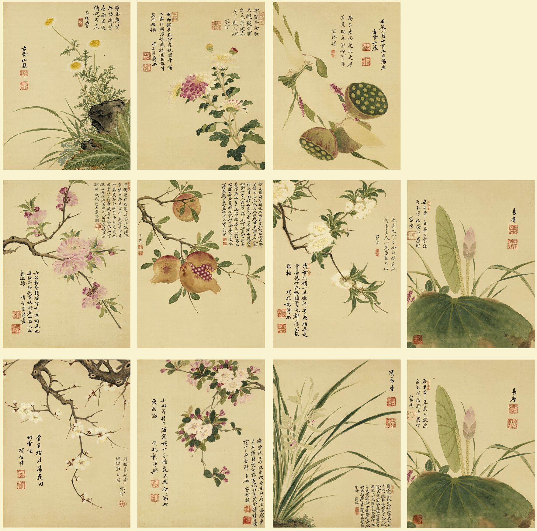 花卉册十开预览图