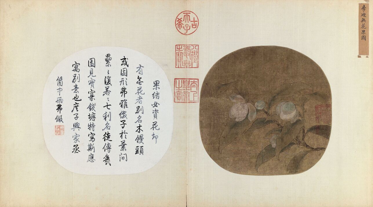 无花果图预览图
