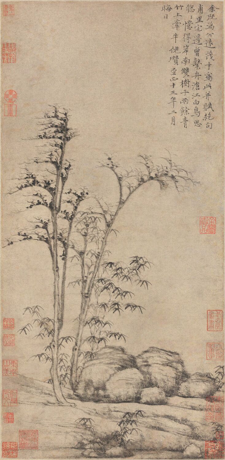 岸南双树图缩略图
