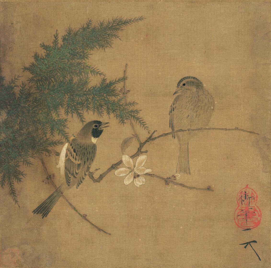 腊梅双禽图缩略图