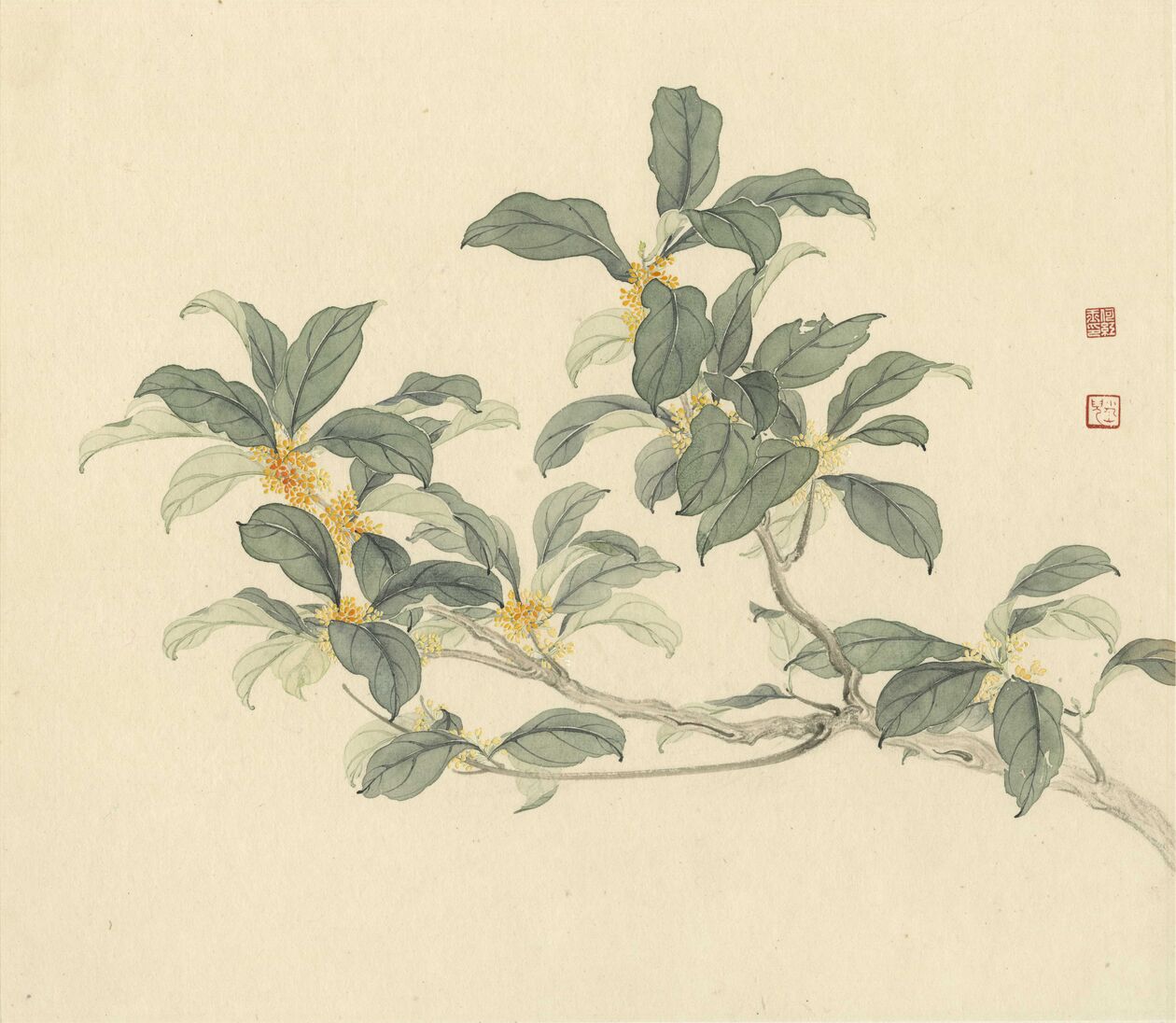 八月桂花香预览图