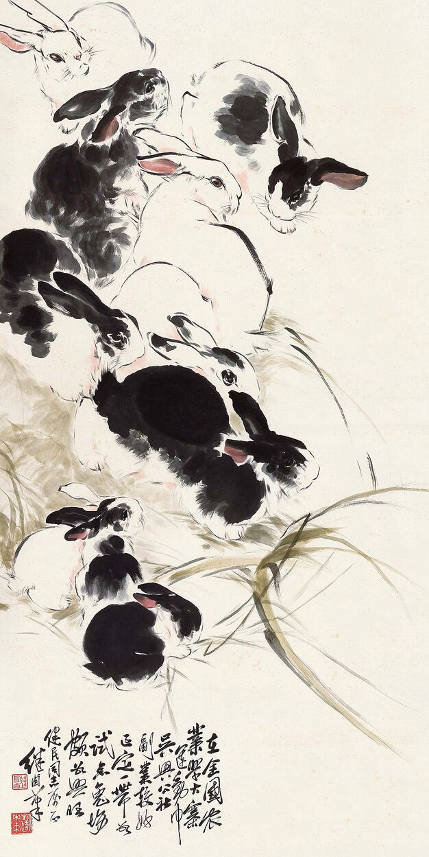 兔子5预览图