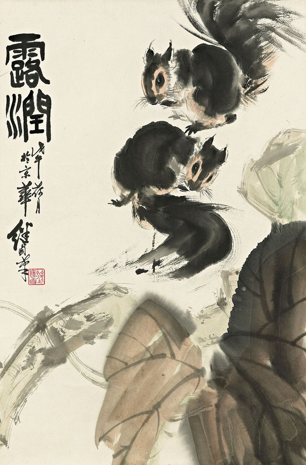 松鼠4预览图