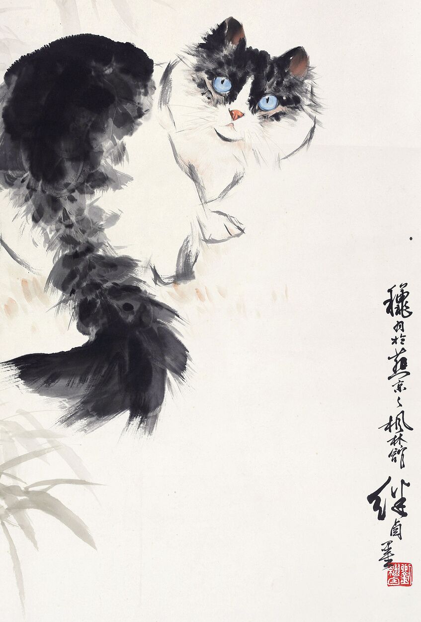 猫1预览图