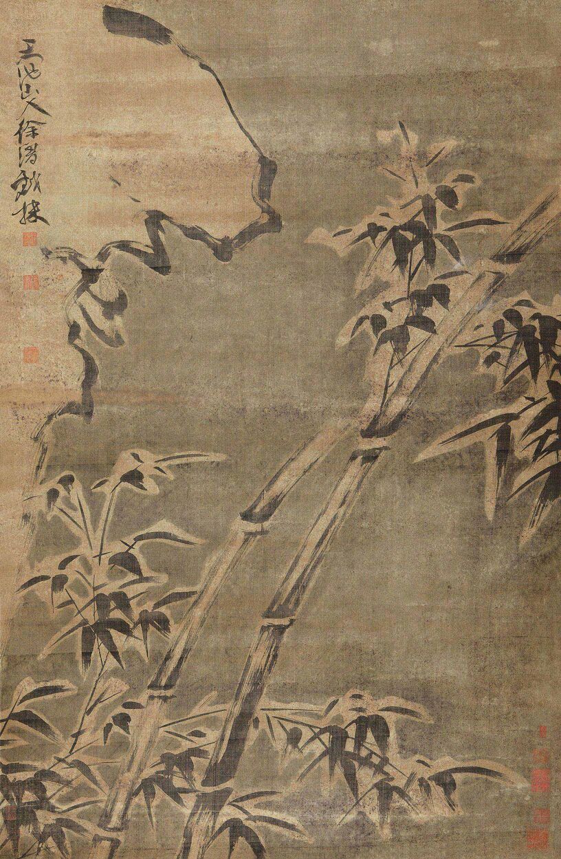 雪竹预览图