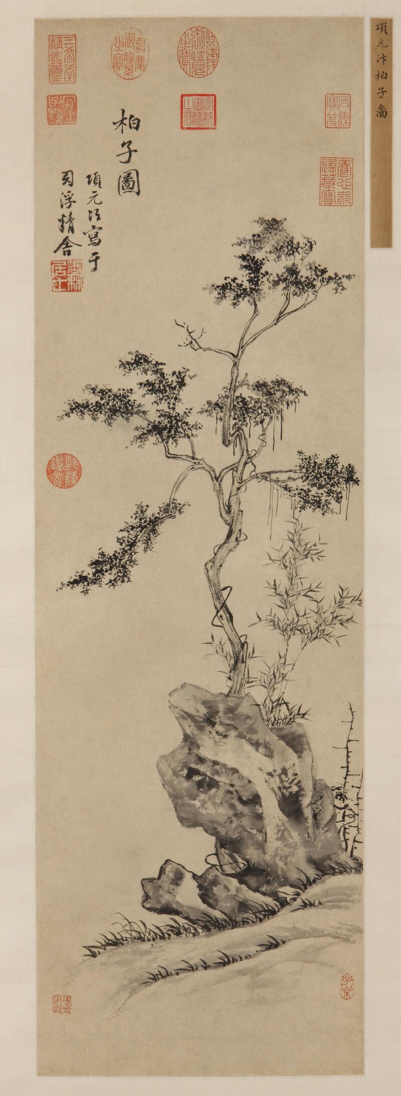 柏子图缩略图