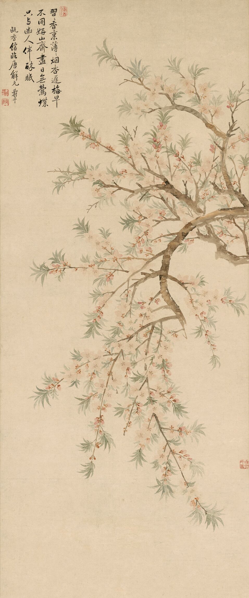 桃花图预览图