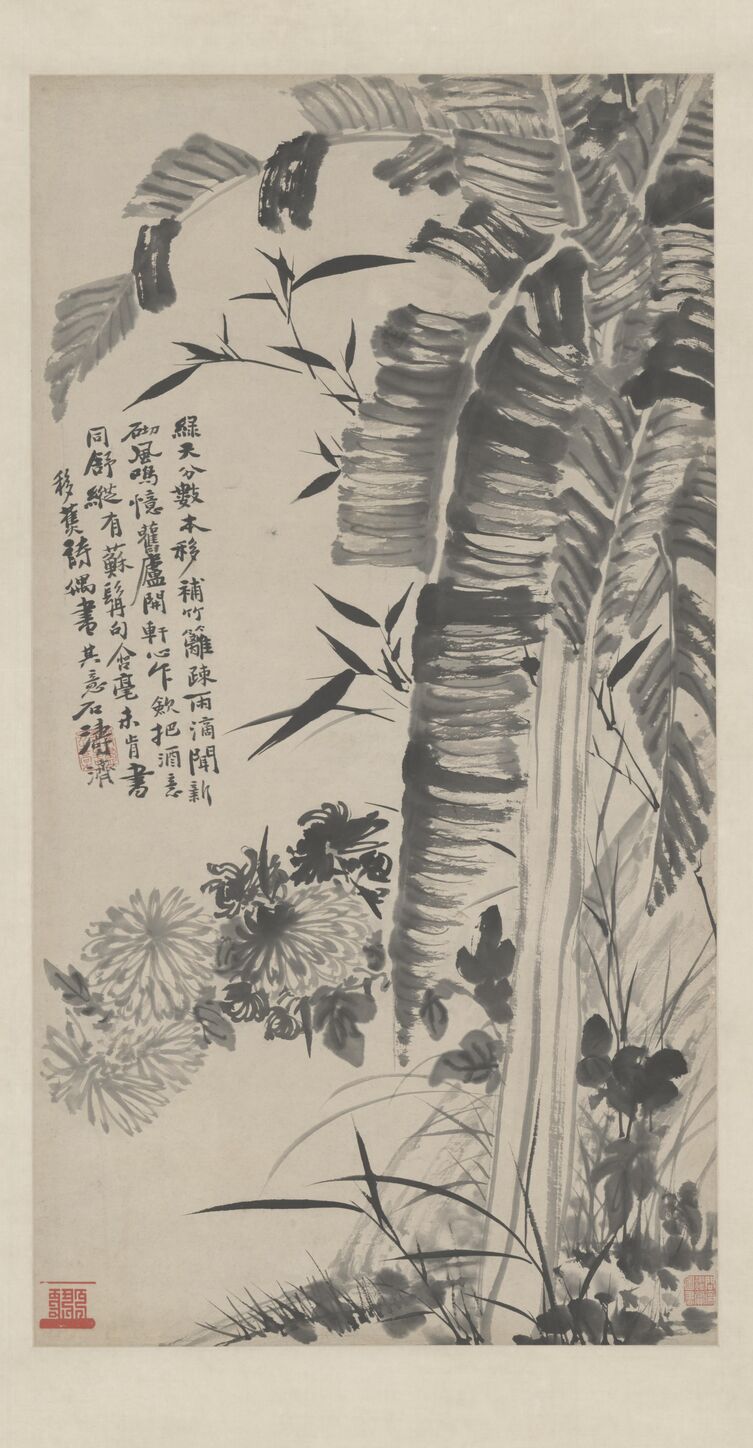 蕉菊图预览图