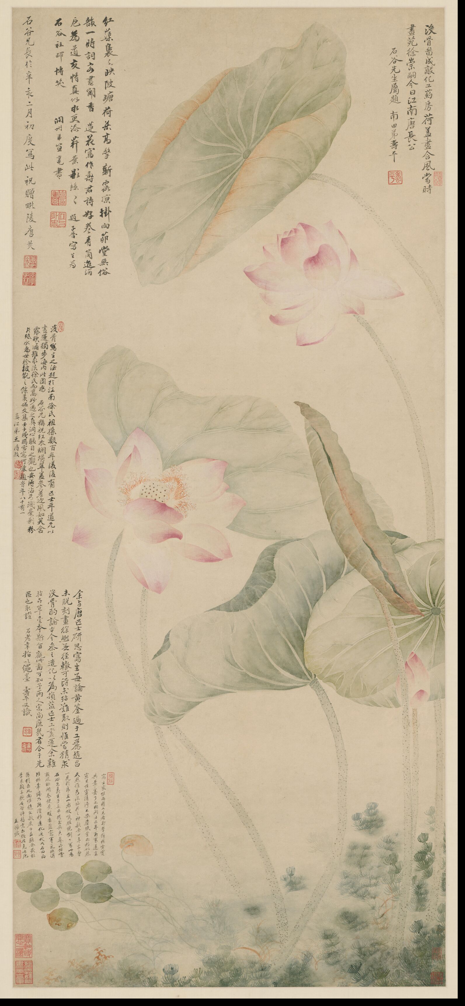 红莲绿藻图预览图