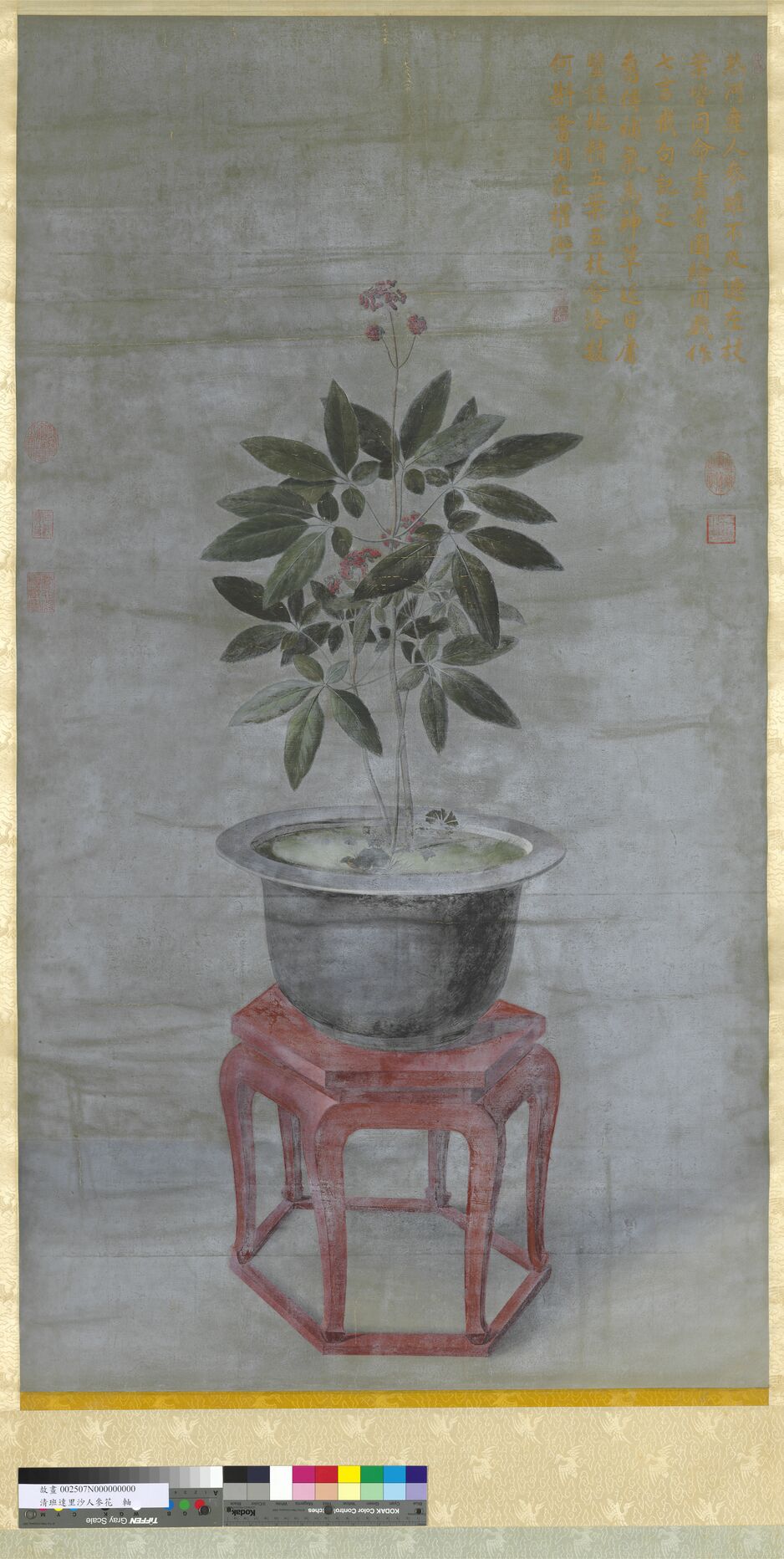 人参花轴预览图