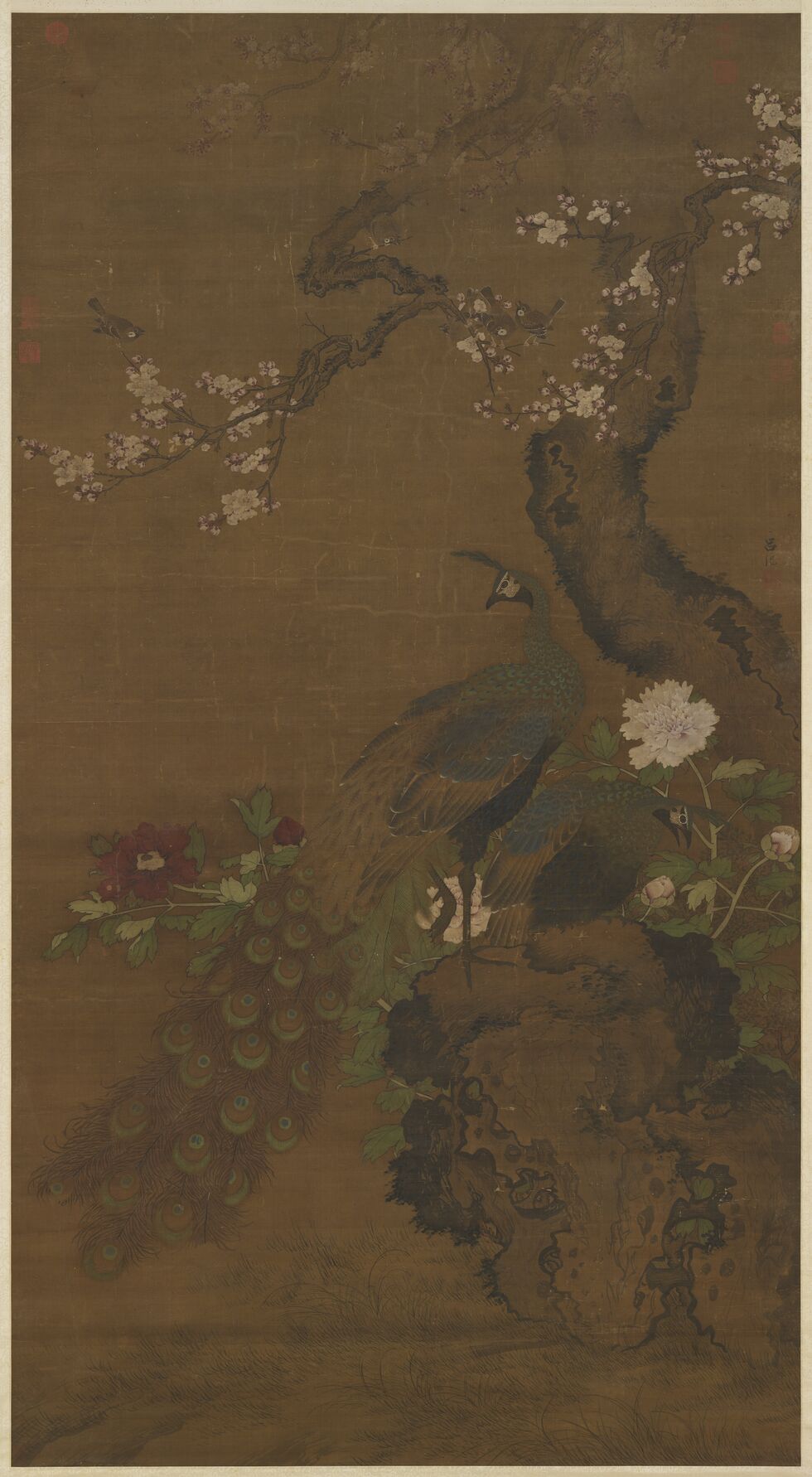 杏花孔雀图缩略图
