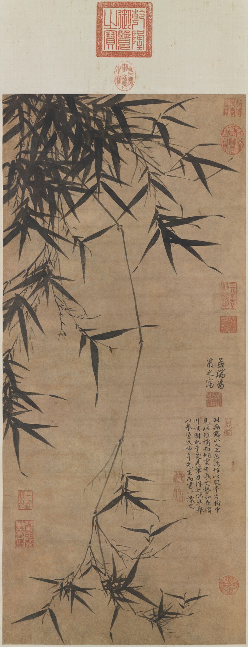 淇渭图预览图