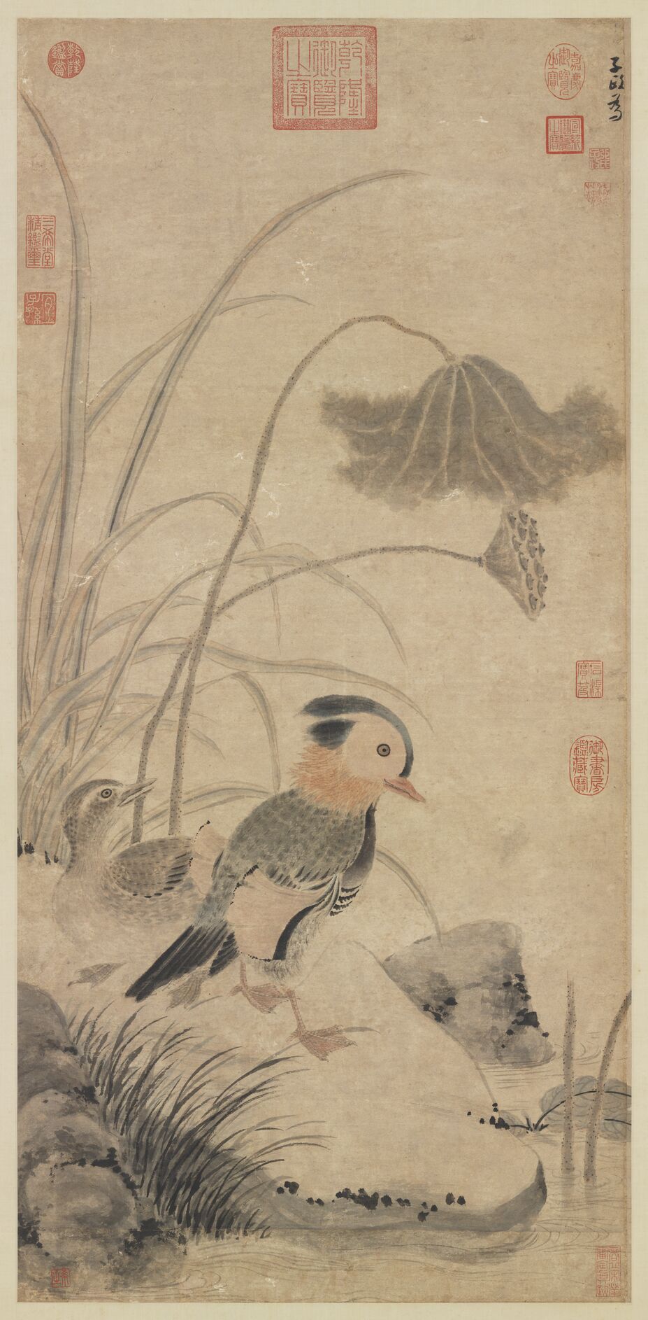 枯荷鸂鶒图预览图
