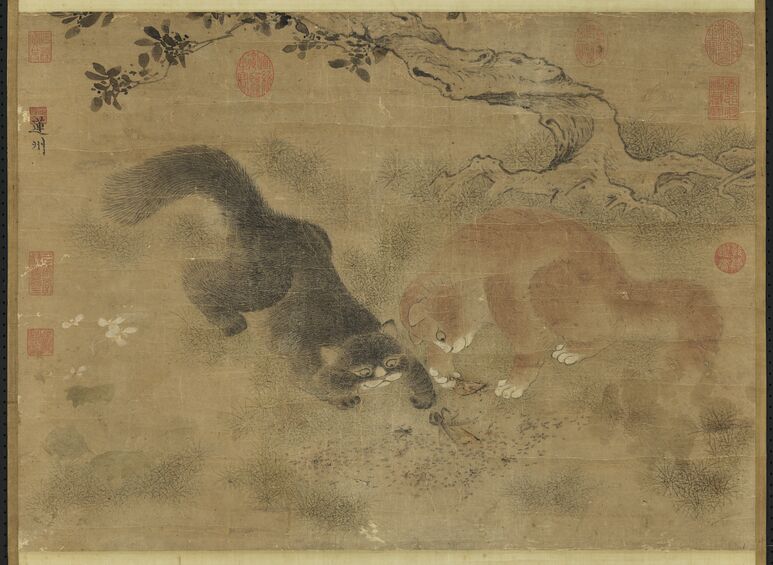 戏猫图缩略图