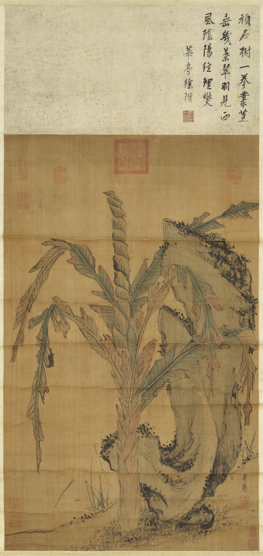 文石甘蕉图缩略图