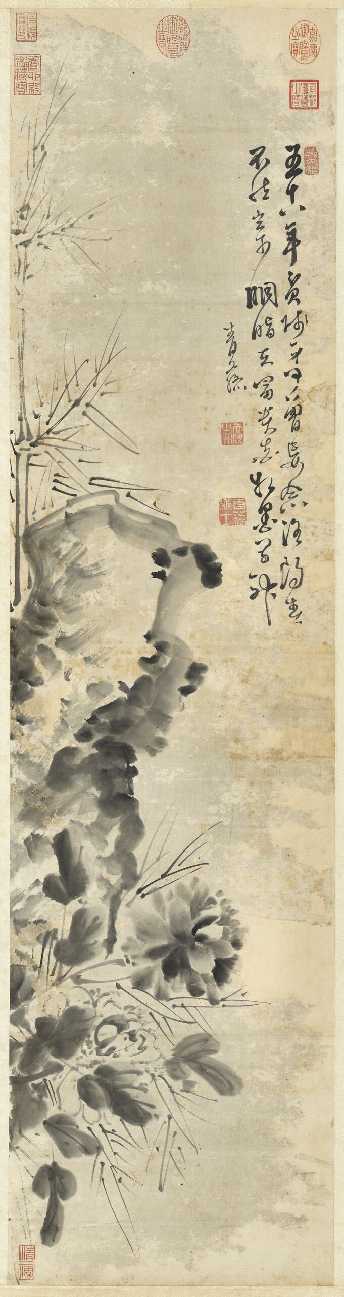 牡丹图预览图