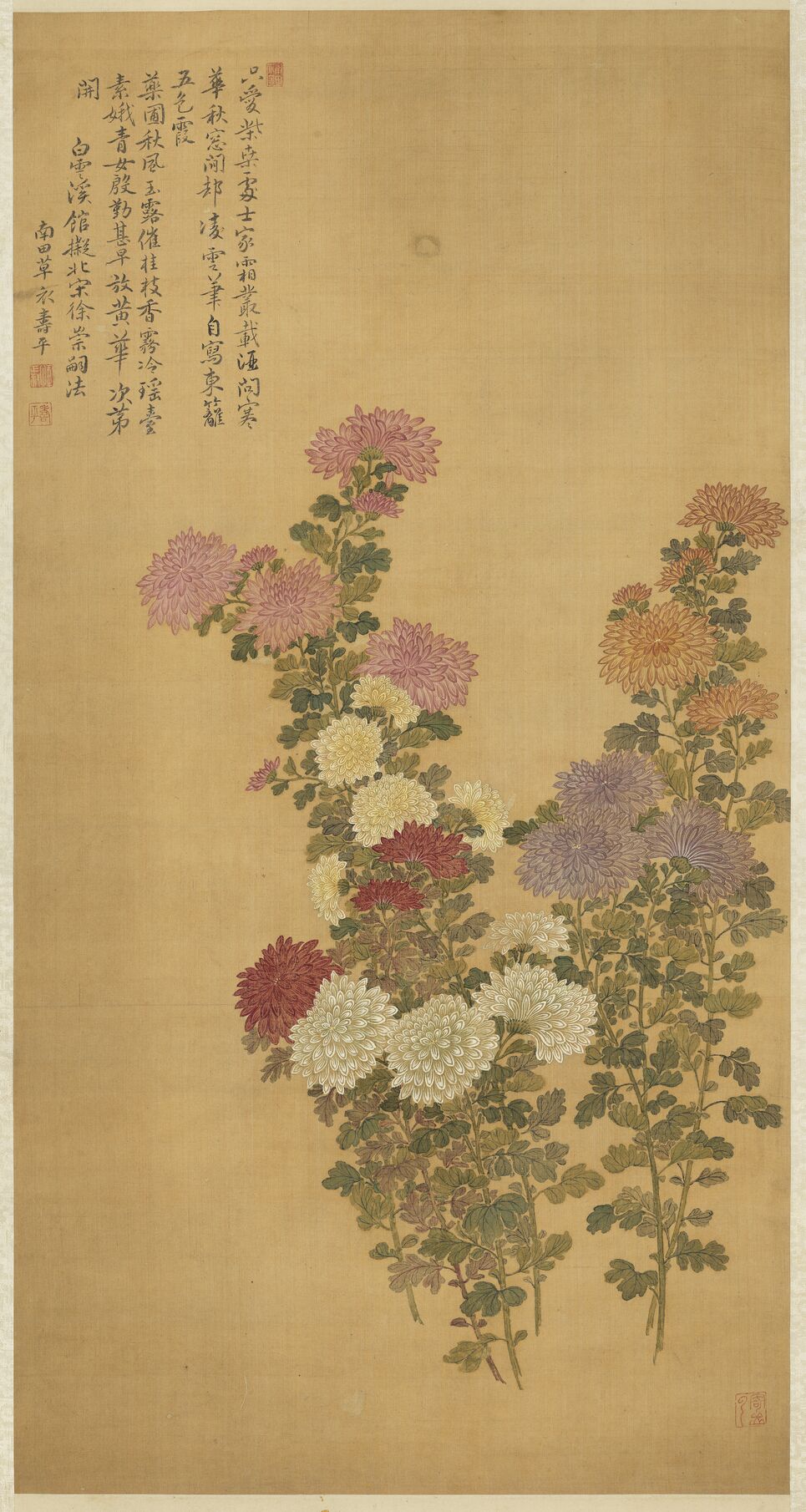 菊花轴预览图