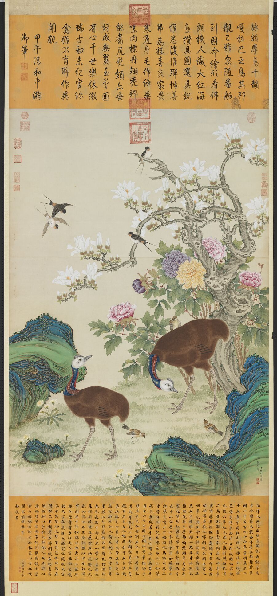 额摩鸟图预览图
