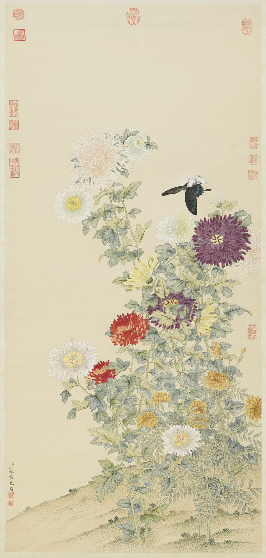 菊轴预览图