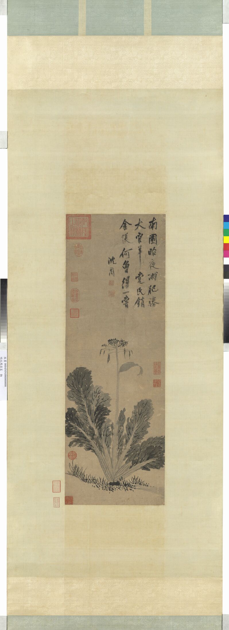 蔬菜图预览图