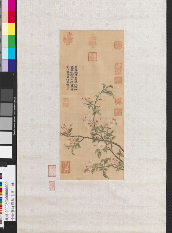 御制诗缂丝海棠轴预览图