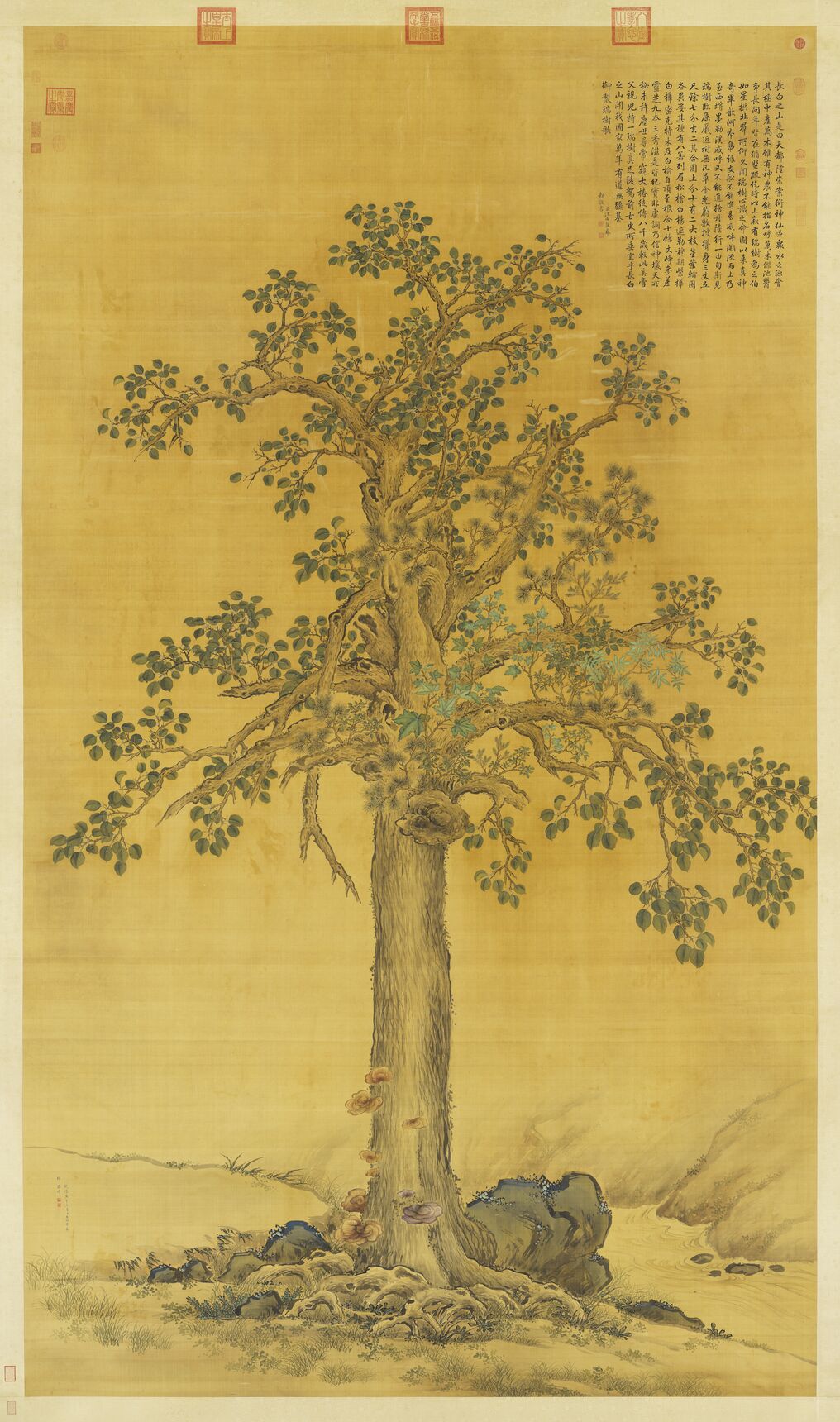 瑞树图轴预览图