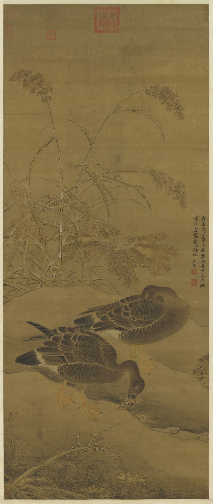 寒江芦雁图预览图
